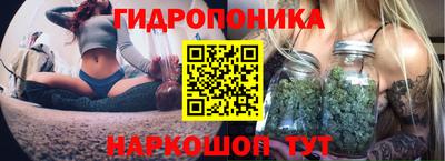 apvp Краснокаменск