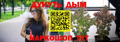 шишки Краснодар